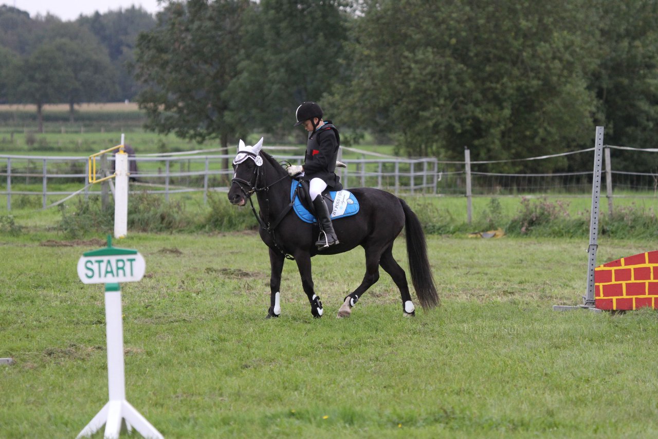 Bild 1372 - WBO-Turnier am 18.9.11